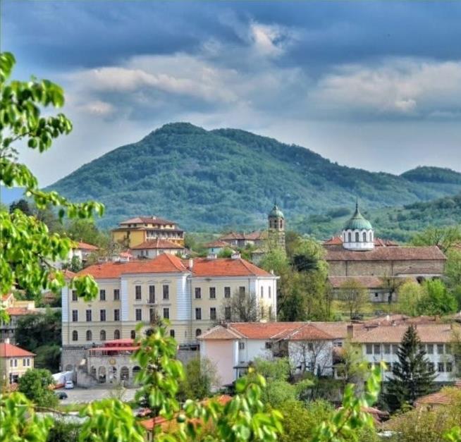Панорама към Елена